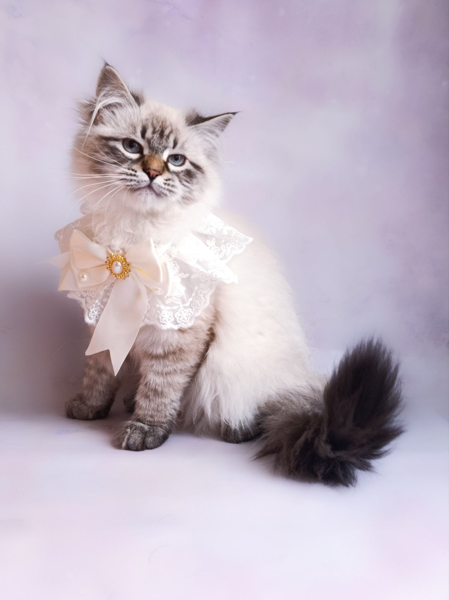 Невська маскарадна дівчинка з документами Blanche