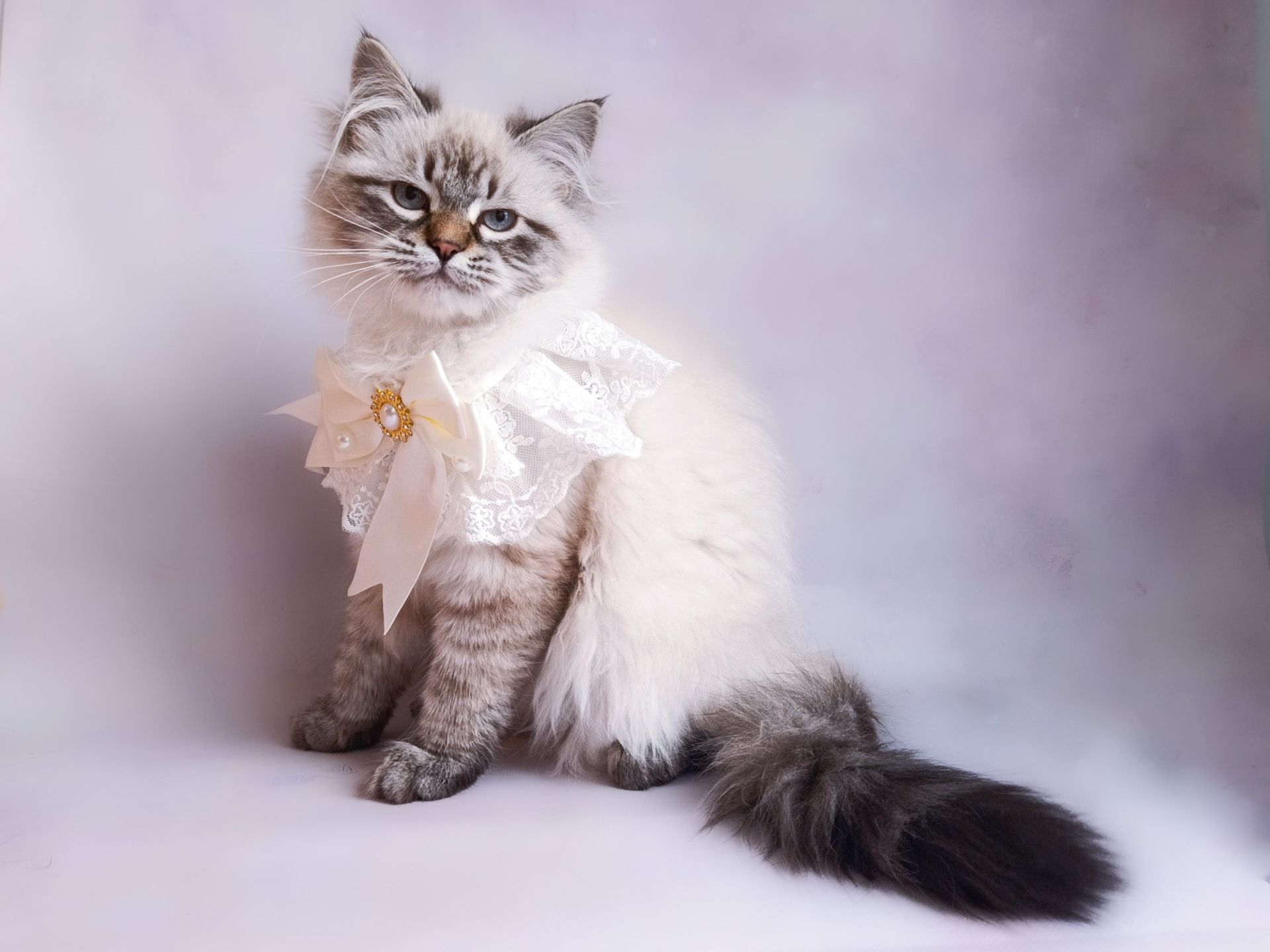 Невська маскарадна дівчинка з документами Blanche