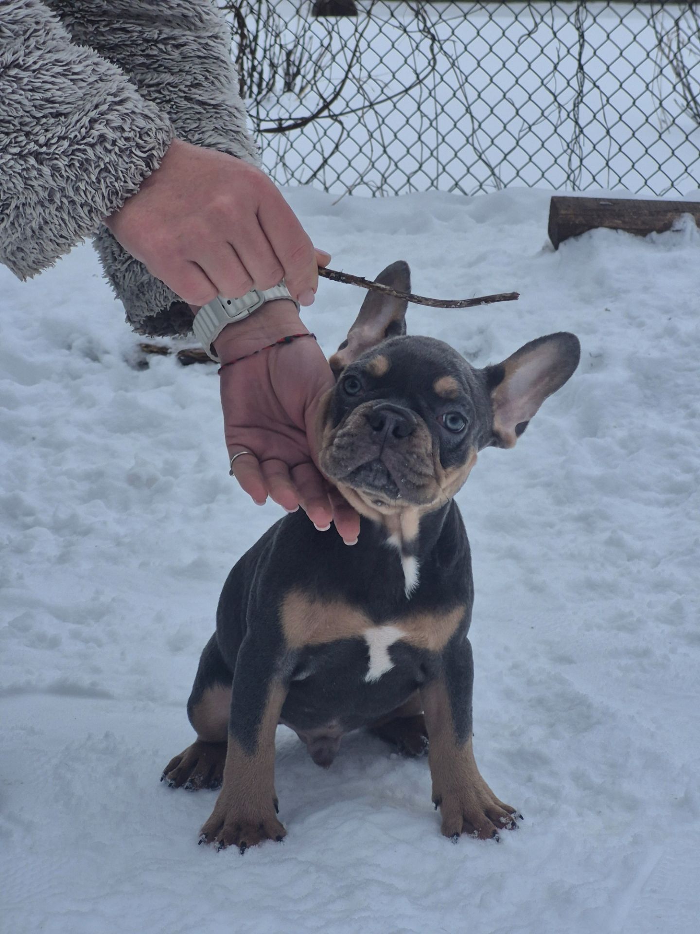 Маленькі хлопці з великим серцем
