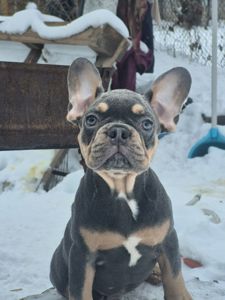 Маленькі хлопці з великим серцем