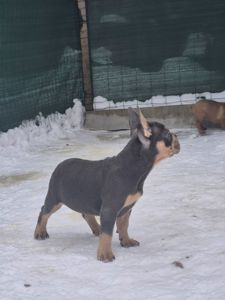 Маленькі хлопці з великим серцем