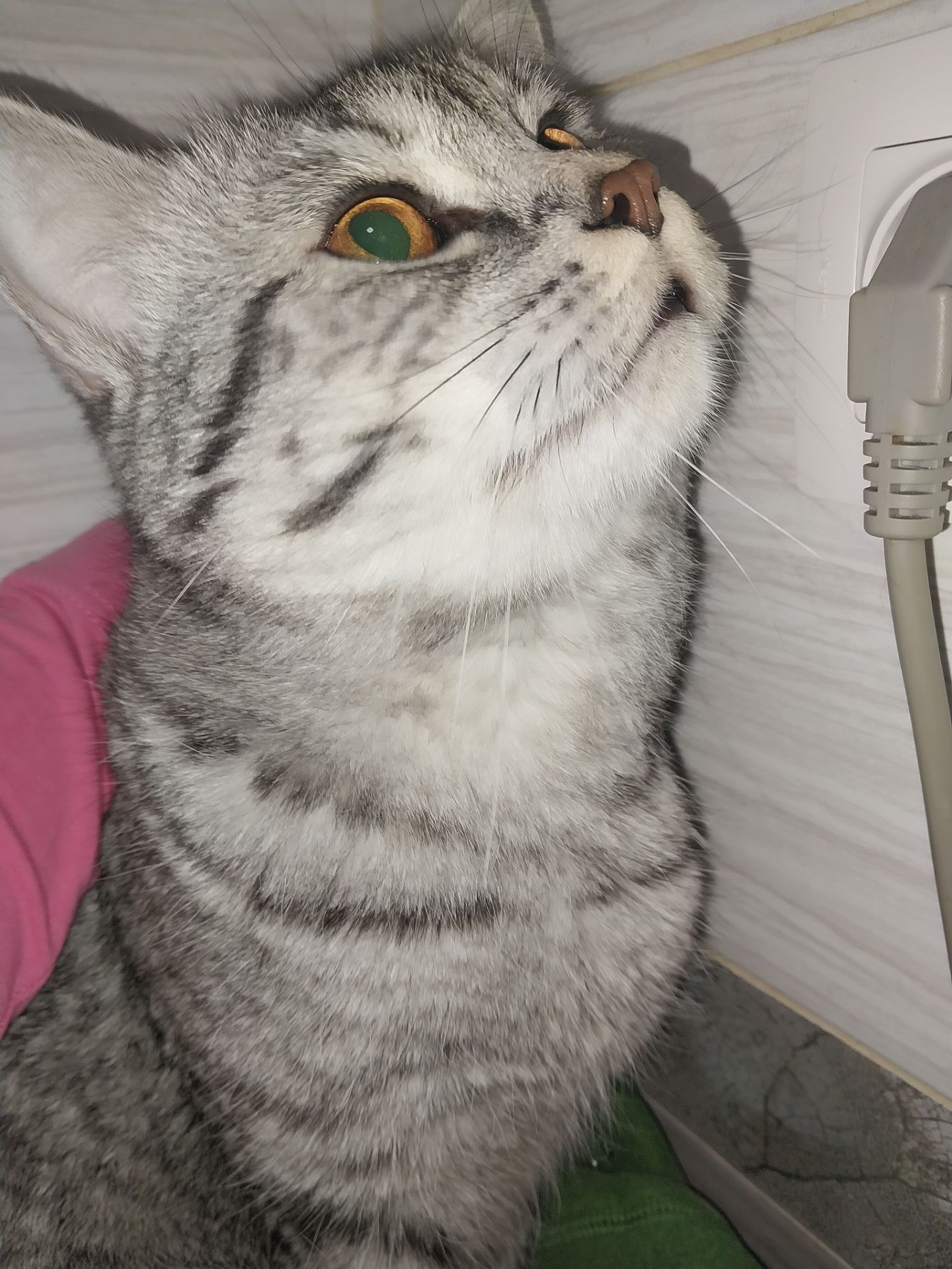 Віддам в добрі та хороші руки)