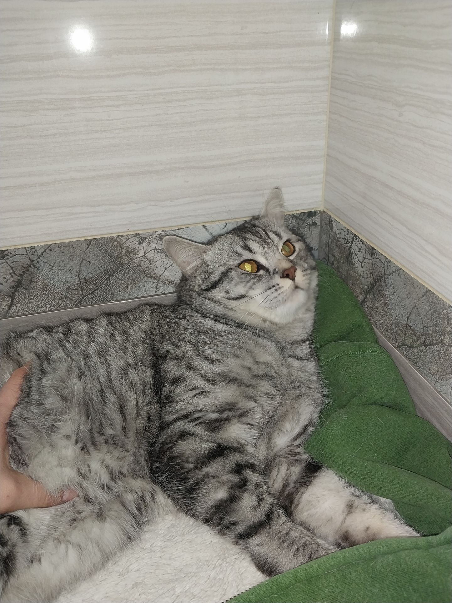 Віддам в добрі та хороші руки)