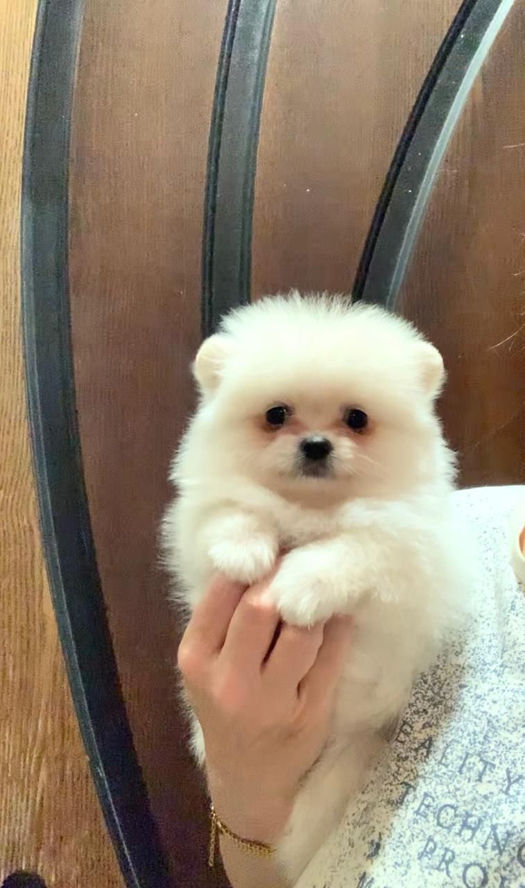 Чудовий хлопчик