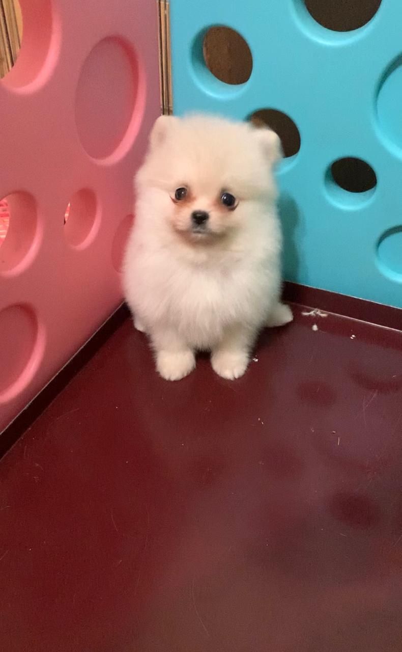 Чудовий хлопчик