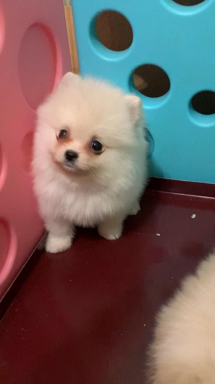 Чудовий хлопчик