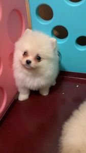 Чудовий хлопчик