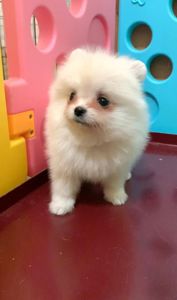 Очаровательные девочки