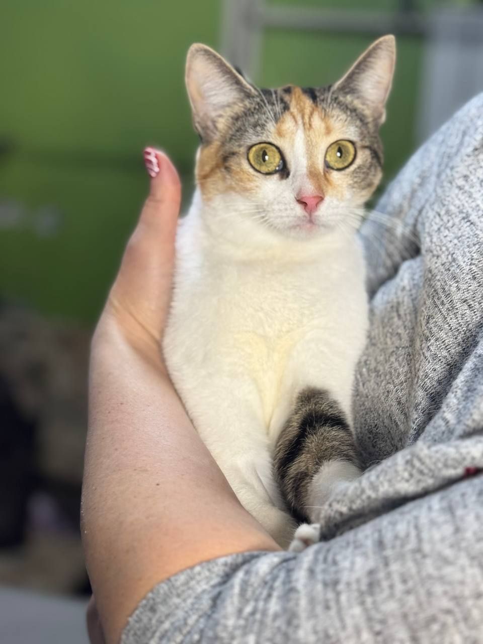 Лілу, 1,5-2 роки