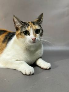 Лілу, 1,5-2 роки