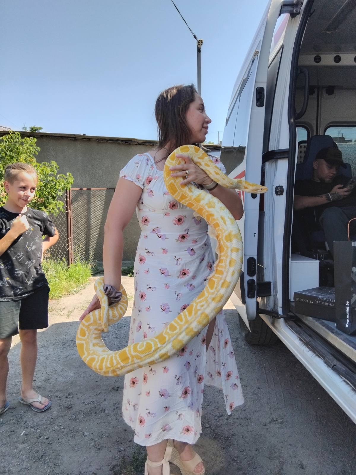Бірманський пітон-альбінос❤️
