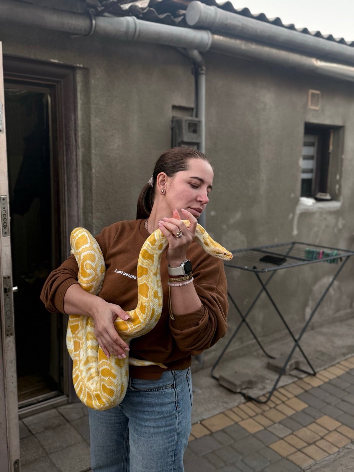 Бірманський пітон-альбінос❤️