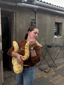 Бірманський пітон-альбінос❤️