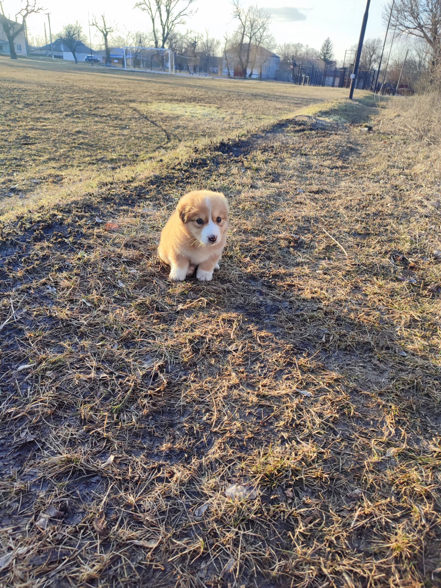 Дуже красива дівчинка з рябеньким носиком і хвостиком як в зайчика