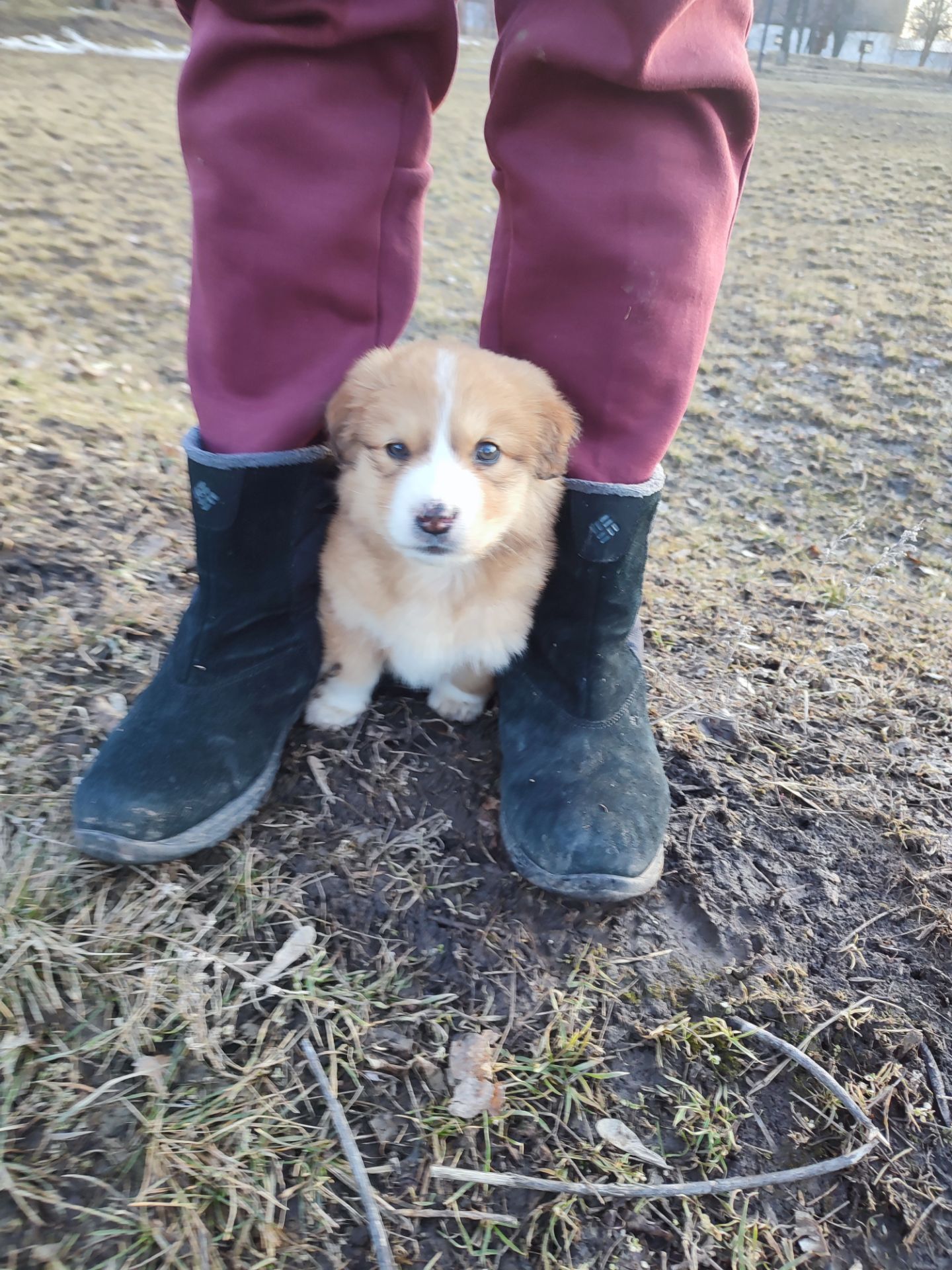 Дуже красива дівчинка з рябеньким носиком і хвостиком як в зайчика