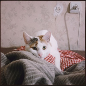 Кішечка Ляля