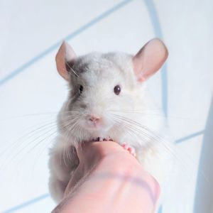 Дівчинка біло-рожева 💕