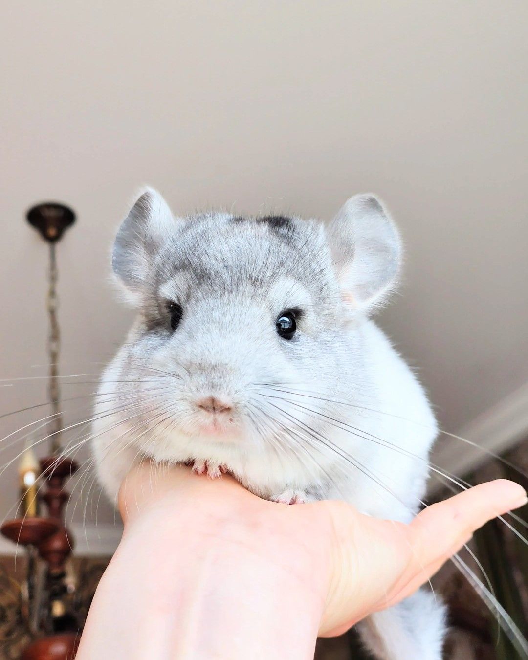 Кукольний малюк 🩵