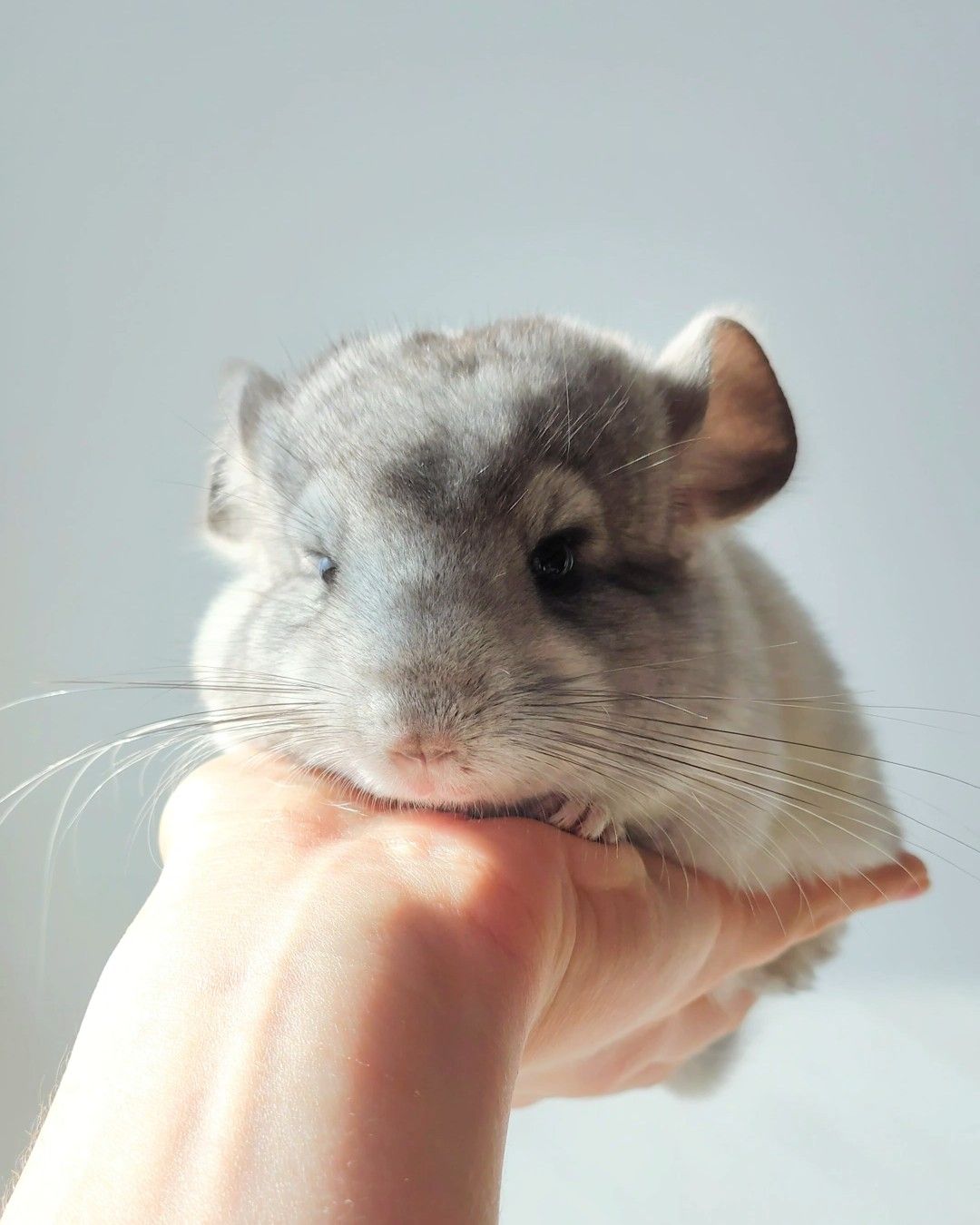 Кукольний малюк 🩵