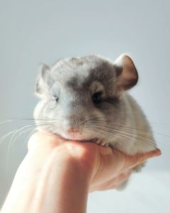 Кукольний малюк 🩵