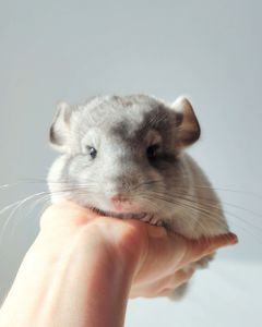 Кукольний малюк 🩵