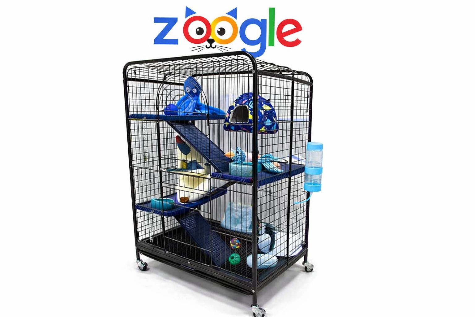 Карликова мартишка — міні мавпочка, яку неможливо забути