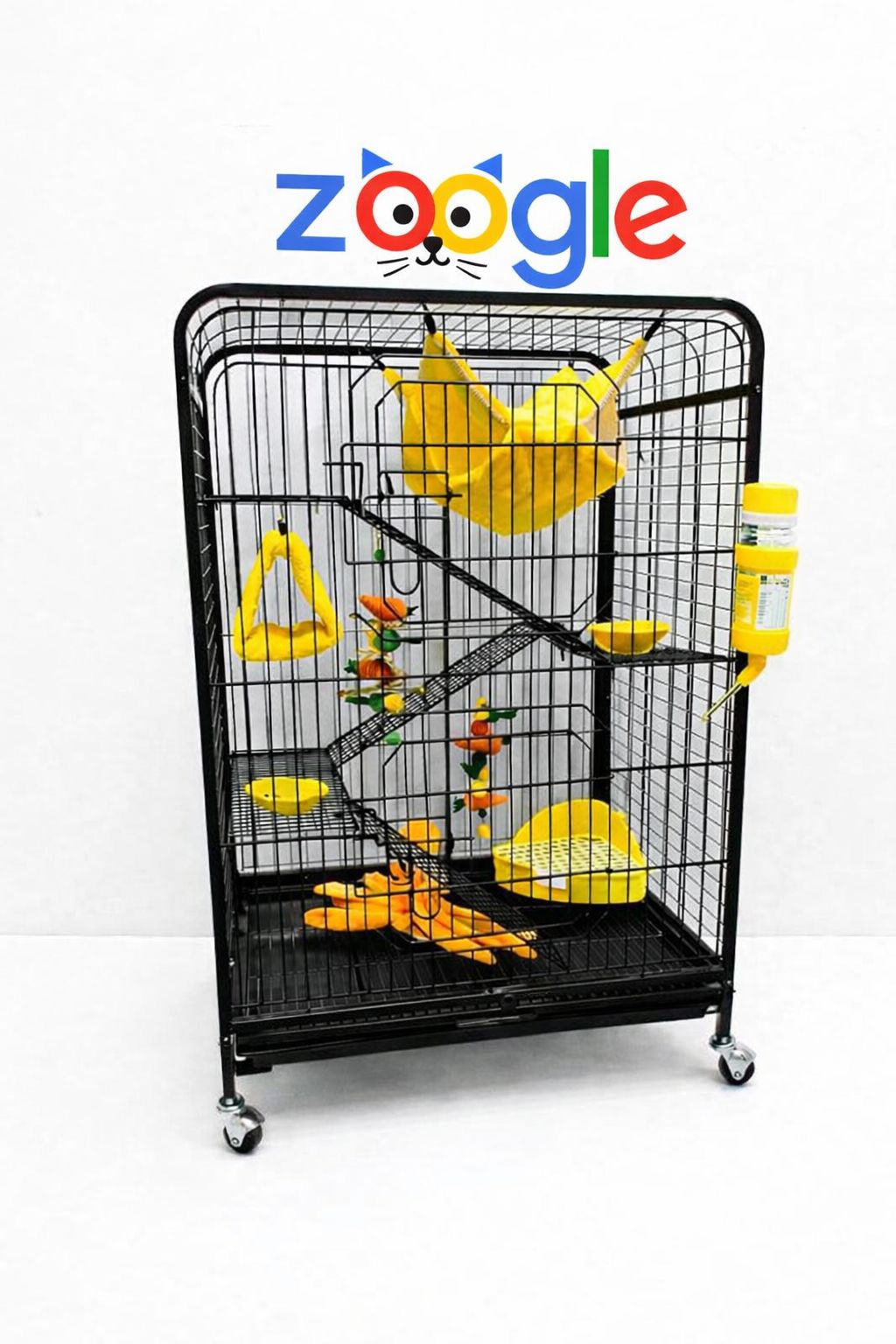 Мартишка гусар — незвичайний та дуже цікавий улюбленець