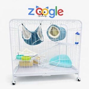 Декоративна мавпа (макака). Незвичайний улюбленець на кожен день