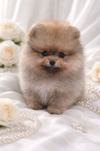 Чарiвна красуня!