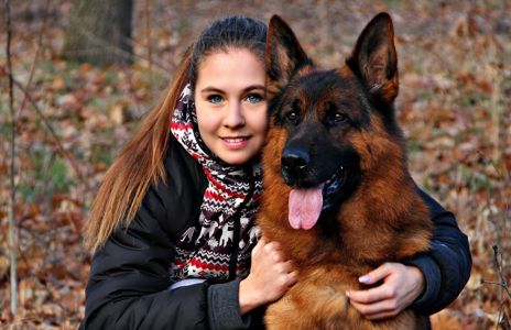 Офіційний розплідник - пропонує цуценят. Німецька вівчарка