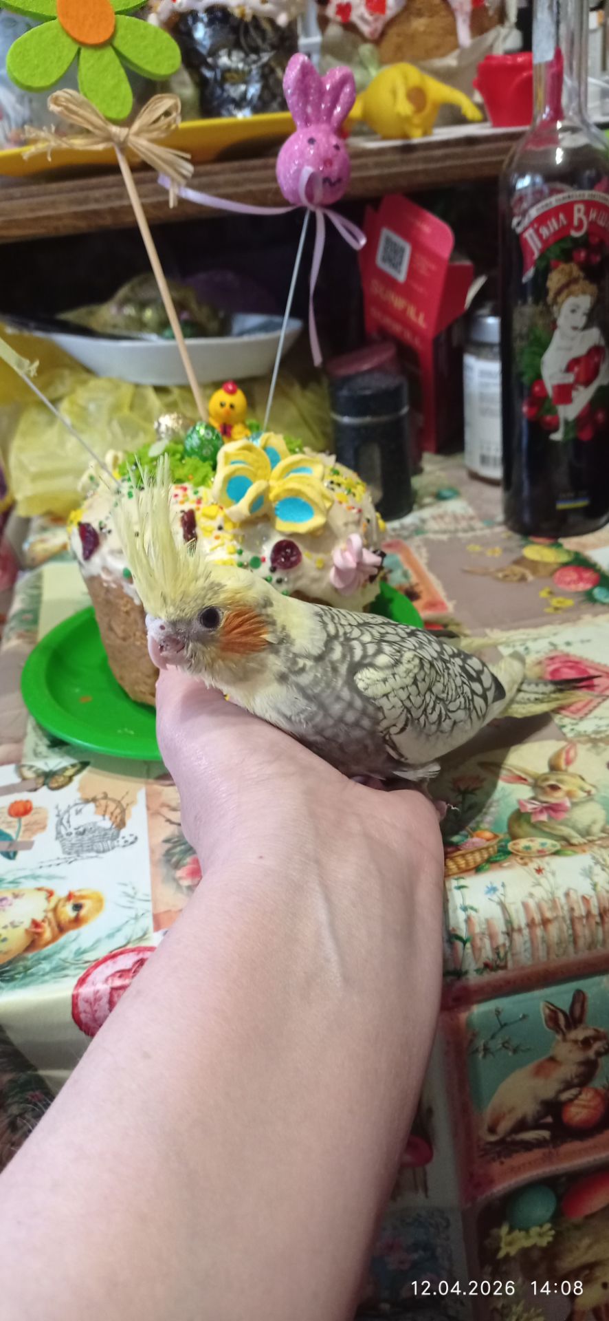 Корела пташеня Карен