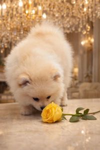 Розкiшний малюк!