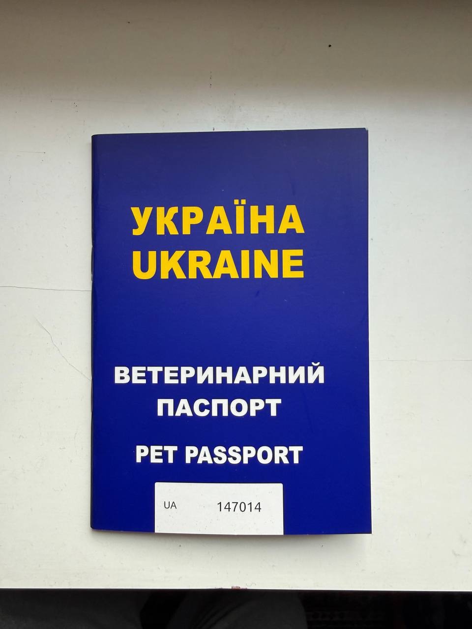 Тхір, фретка, хорек