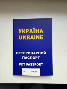 Тхір, фретка, хорек