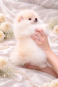 Найгарнiша красуня!