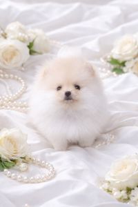 Найгарнiша красуня!