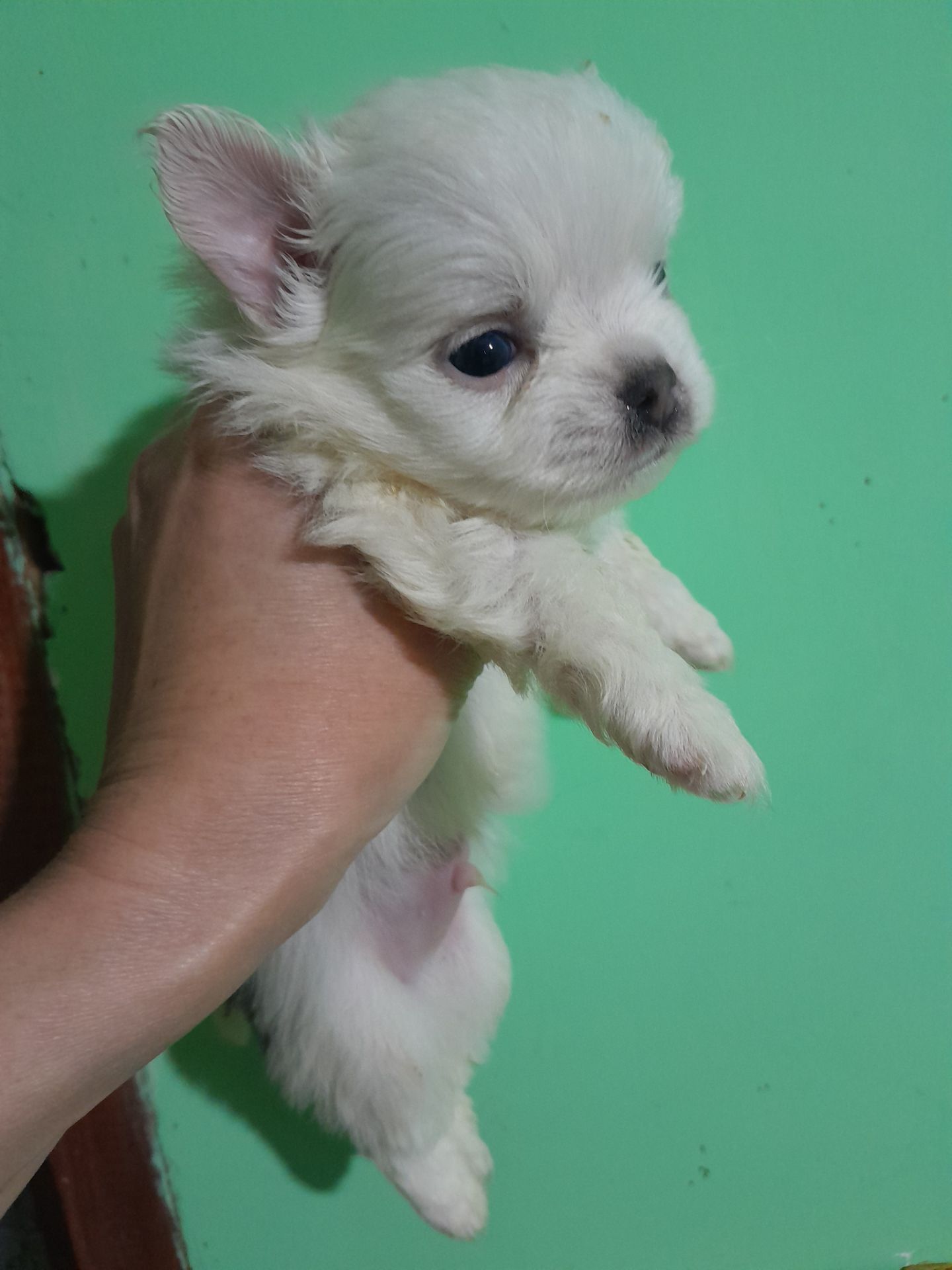 Мальчик белый с голубым