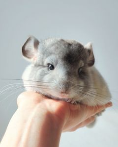 Кукольний малюк 🩵