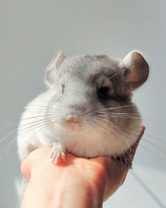 Кукольний малюк 🩵