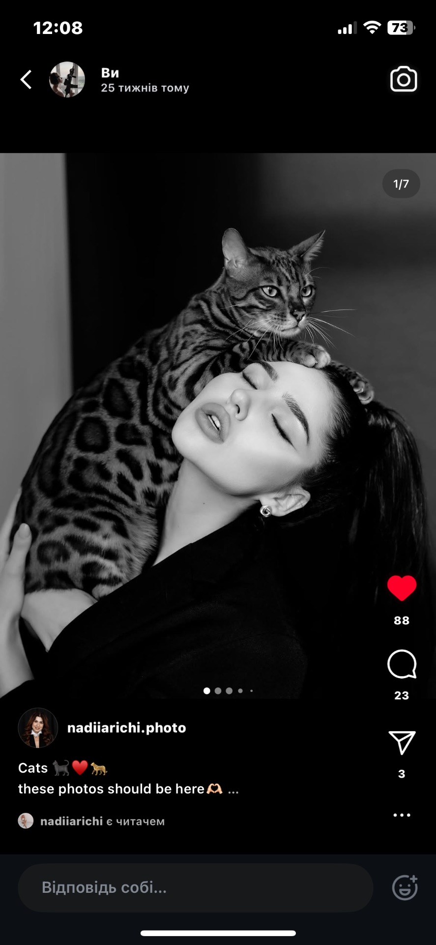 Бенгальські Кошенята