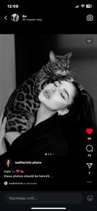 Бенгальські Кошенята