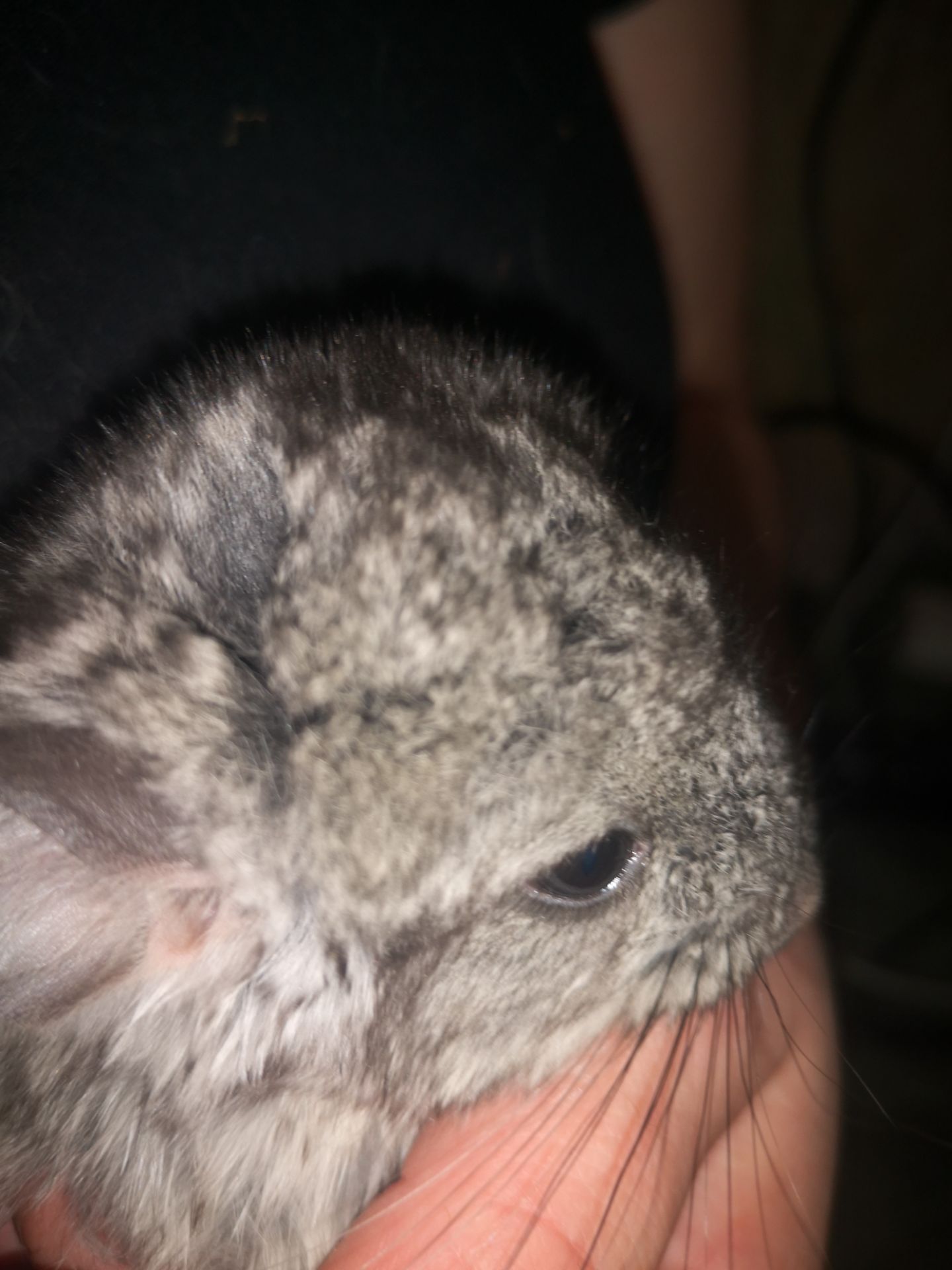 Шуша хлопчик