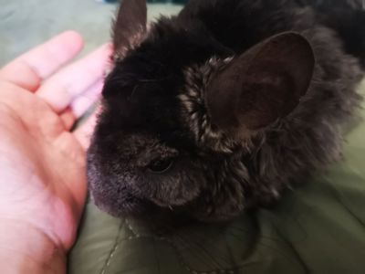 Шуша хлопчик