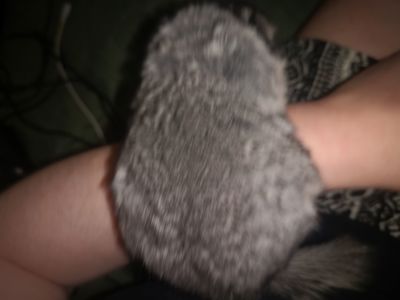 Шуша хлопчик