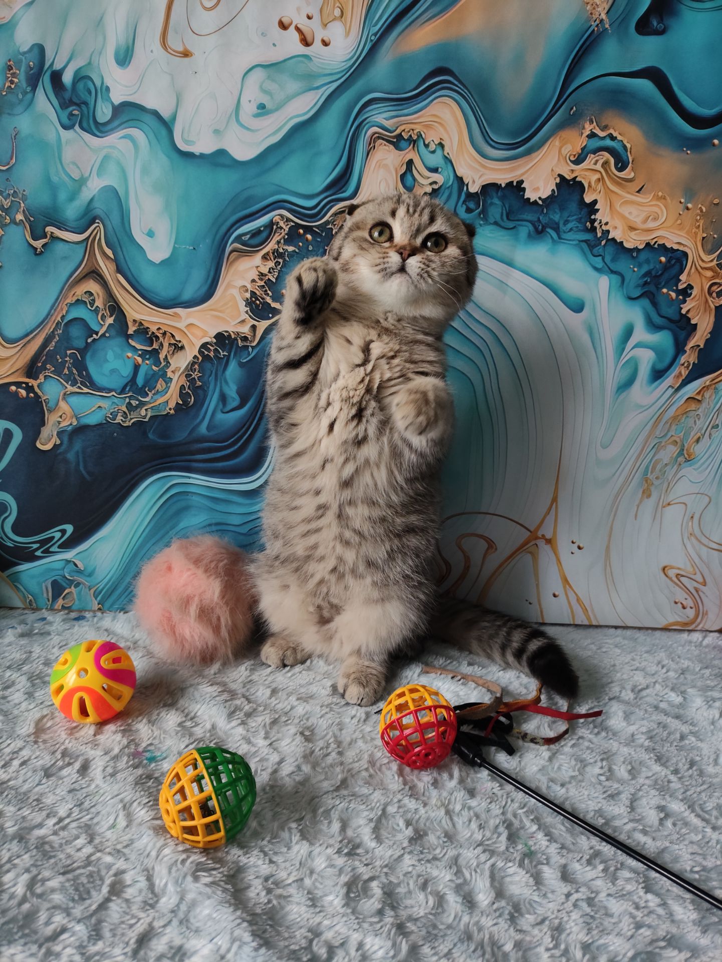 Висловуха шотландська дівчинка