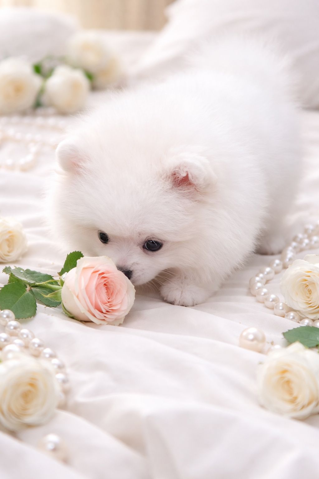 Чарiвна VIP красуня!