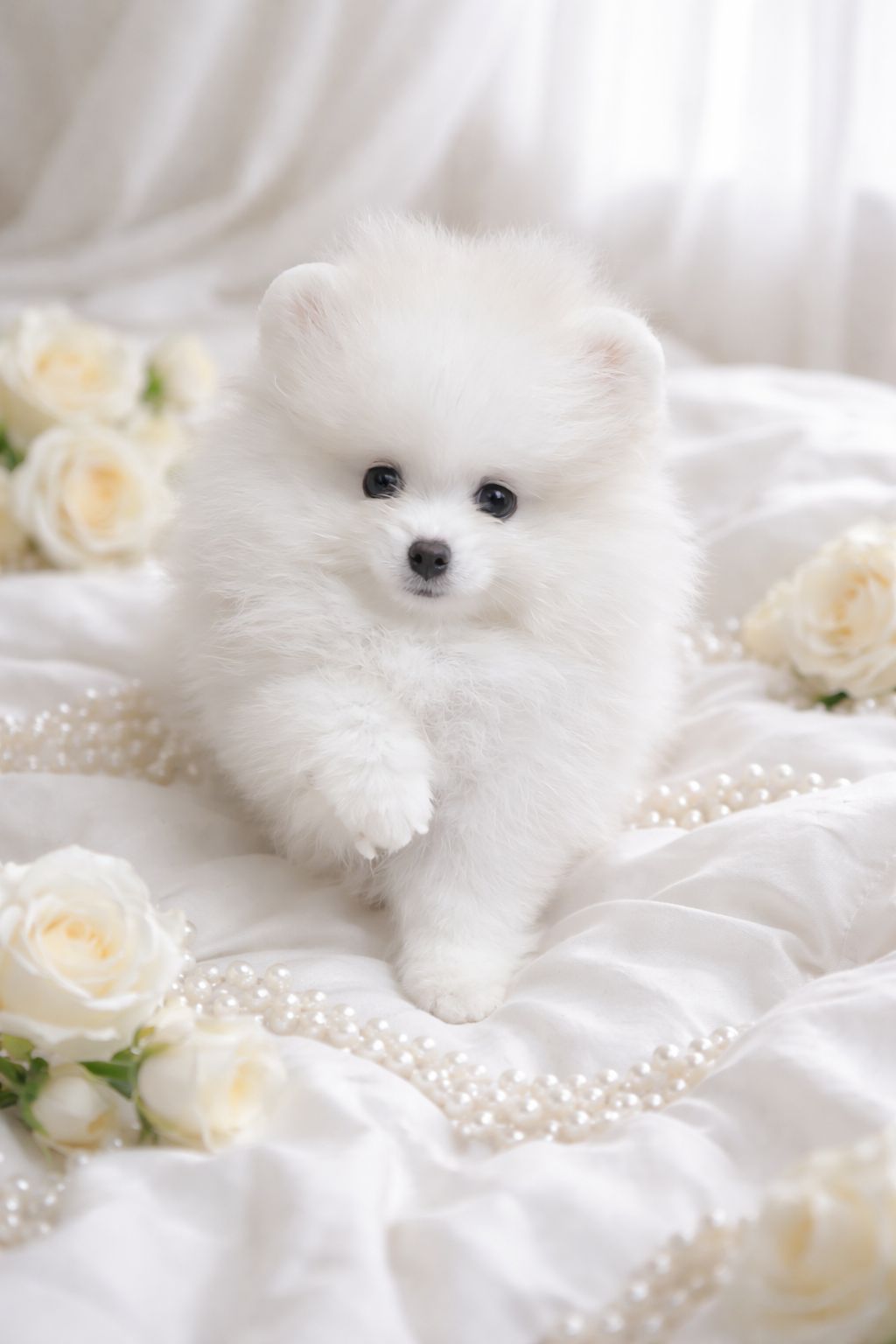 Чарiвна VIP красуня!