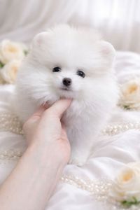 Чарiвна VIP красуня!