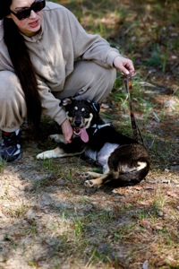 цуценя Тася