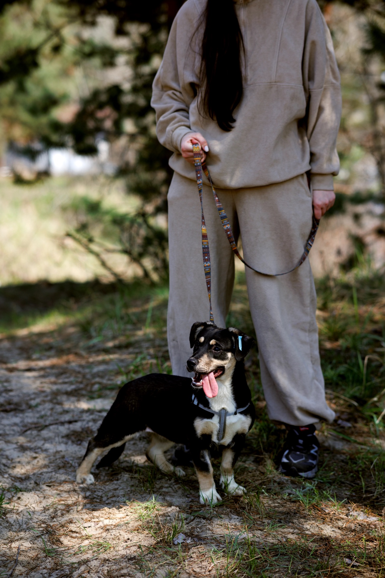 цуценя Тася